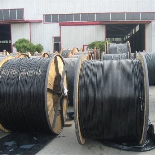 商丘市電線廠家銷(xiāo)售架空線jklyj 300 10kv大征電線廠家專(zhuān)業(yè)定制